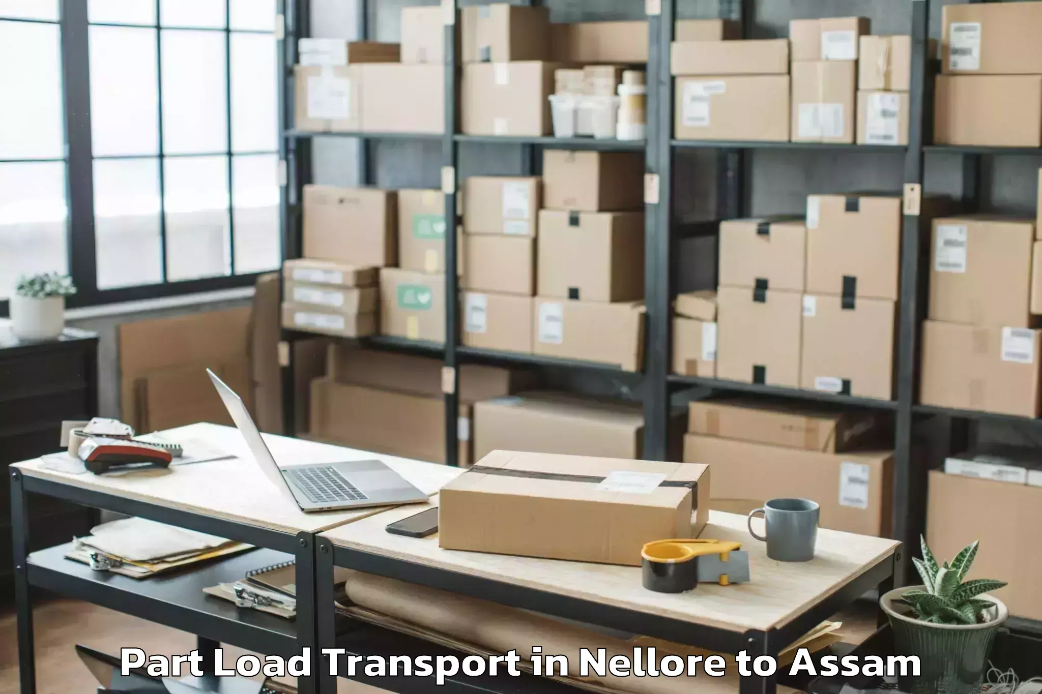 Book Nellore to Guwahati Airport Gau Part Load Transport Online